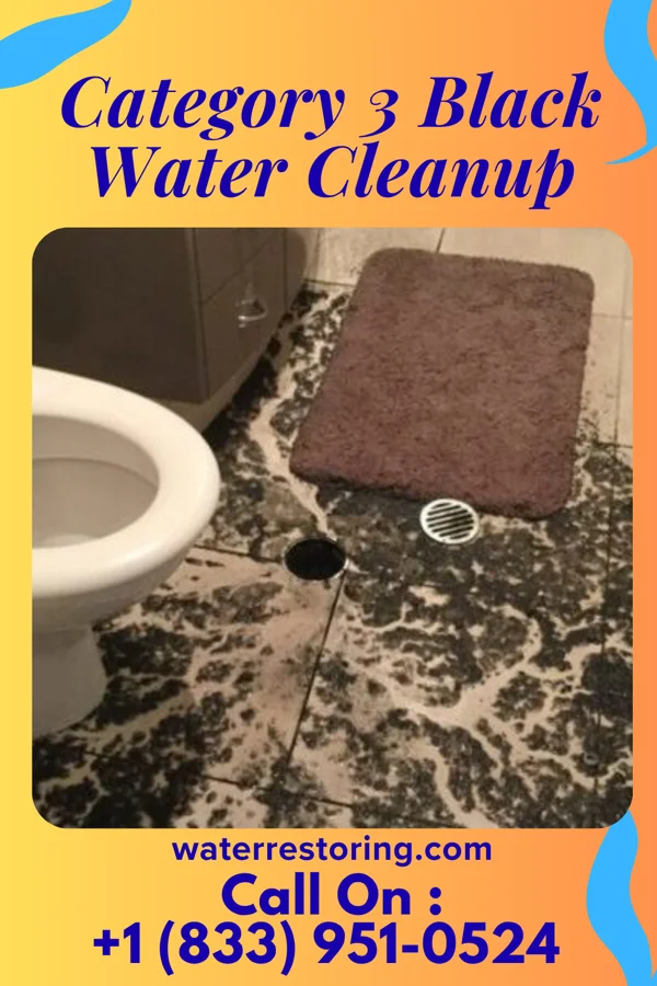 Category 3 Black Water Cleanup in Mead, OK