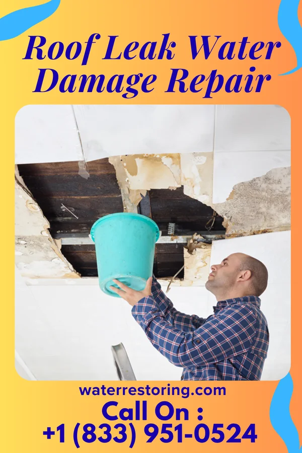 Roof Leak Water Damage Repair in Mead, OK